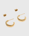 arms of eve lulu hoop earrings gold